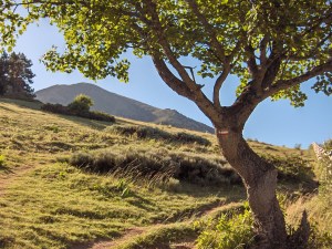 Running up "The Canigou" - near Perpignan, France