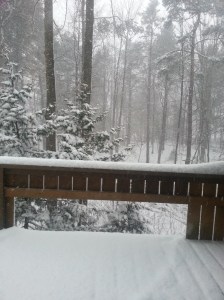 The view out the window